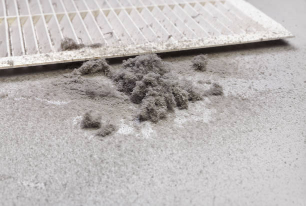 Best HVAC Duct Inspection Services  in Kingston Springs, TN